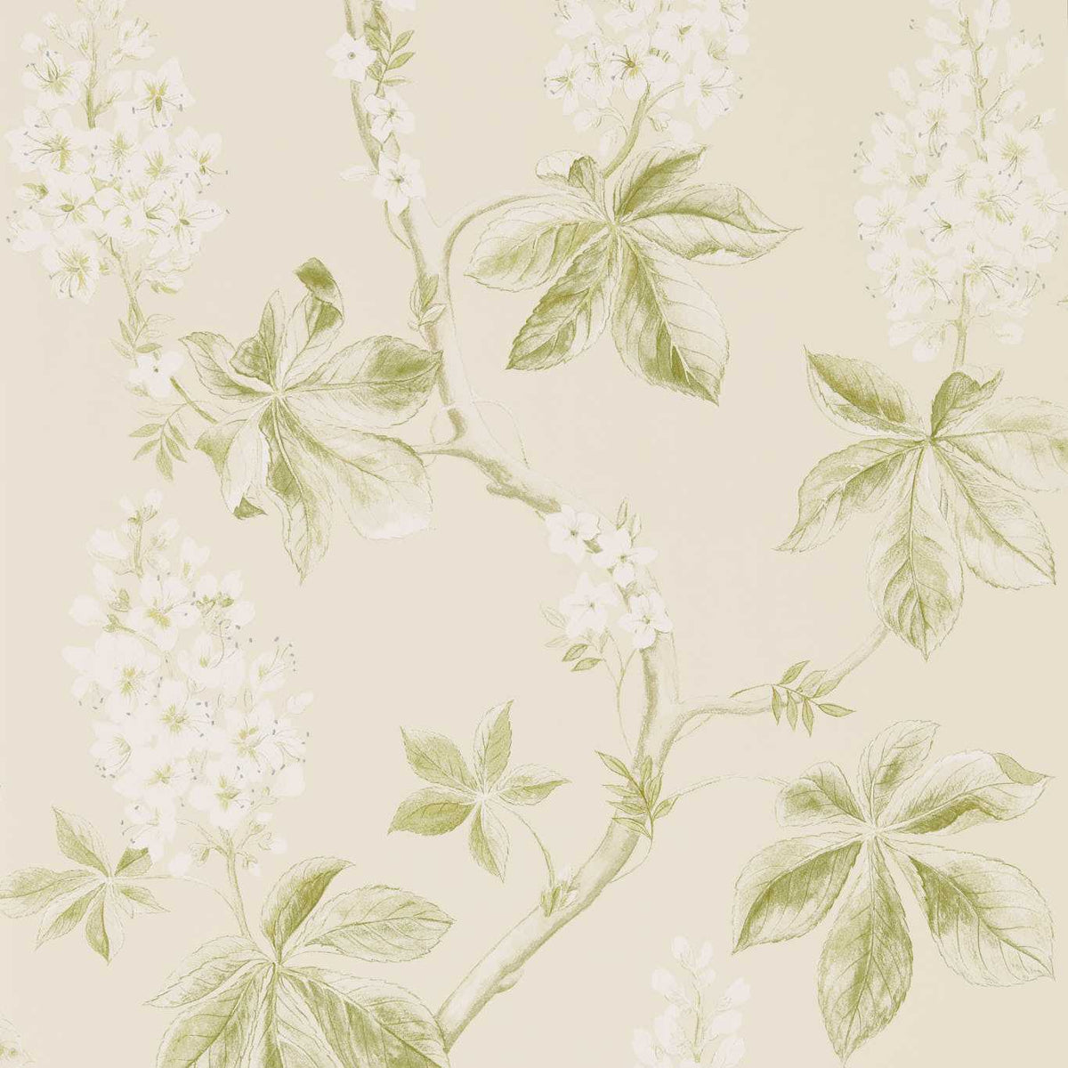 Chestnut Tree - Lemon/Lettuce