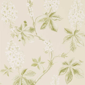 Chestnut Tree - Lemon/Lettuce