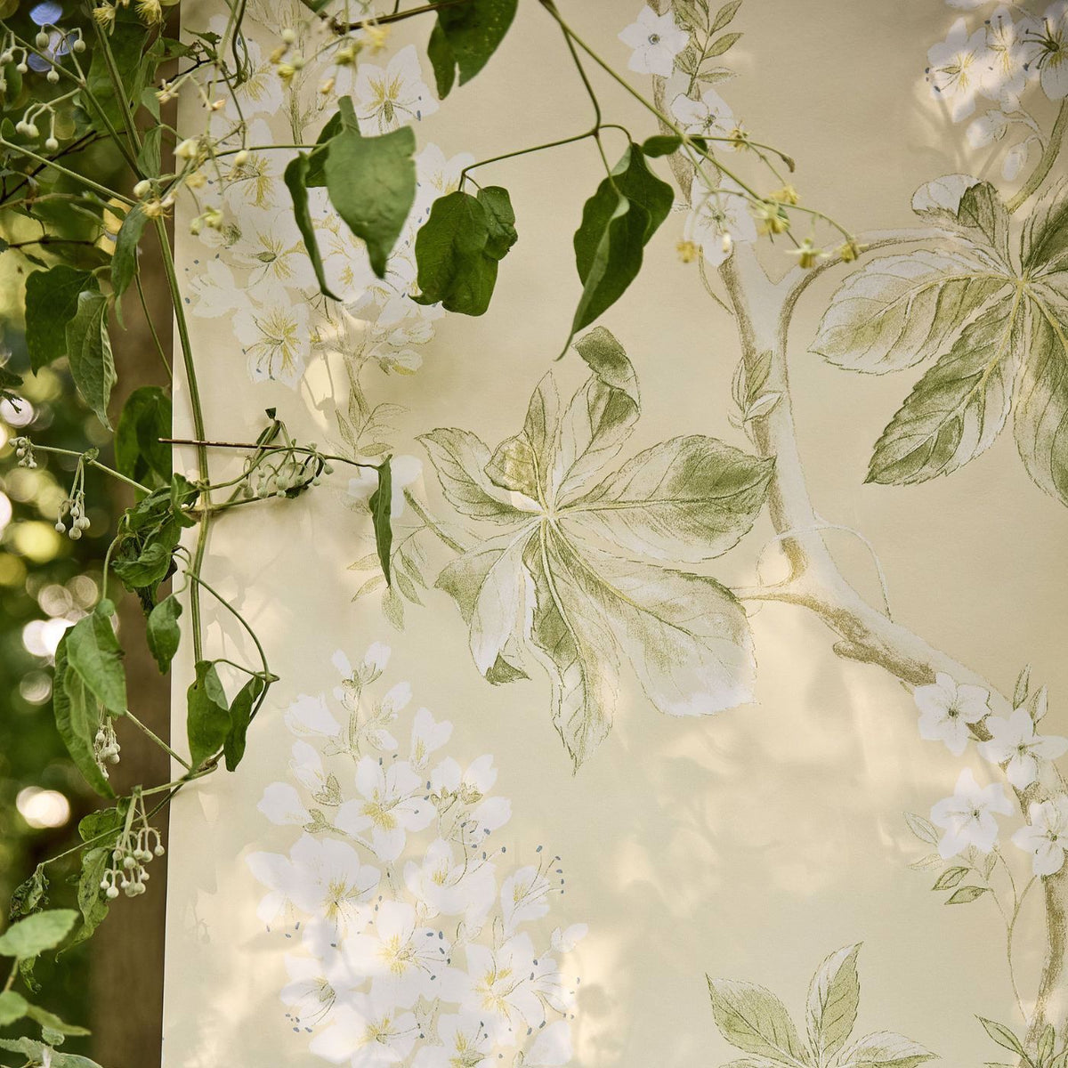 Chestnut Tree - Lemon/Lettuce