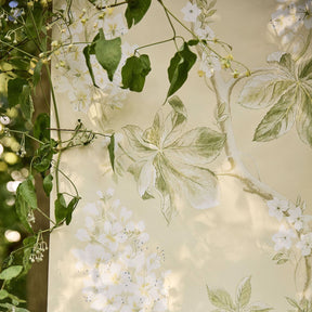 Chestnut Tree - Lemon/Lettuce
