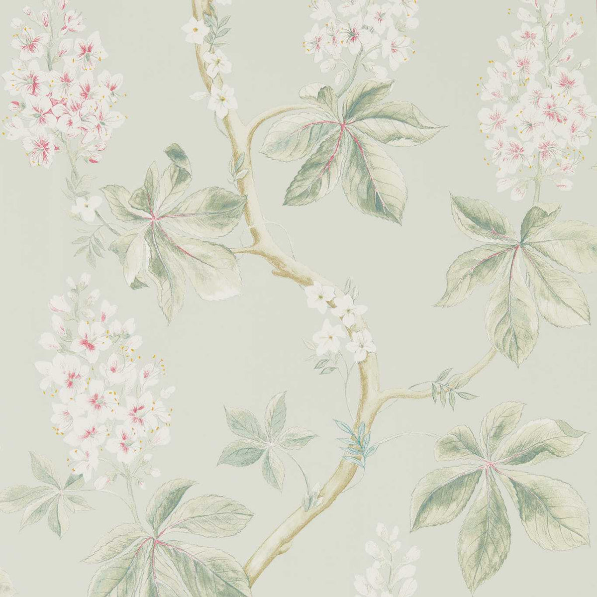 Chestnut Tree - Seaspray/Peony