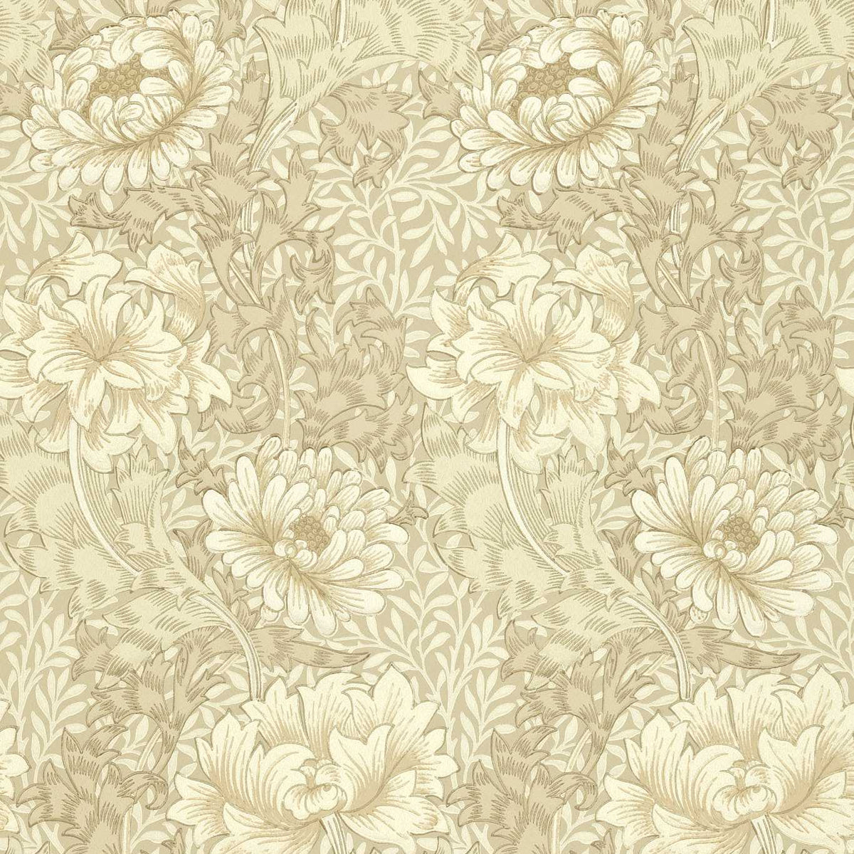 Chrysanthemum - Ivory/Canvas