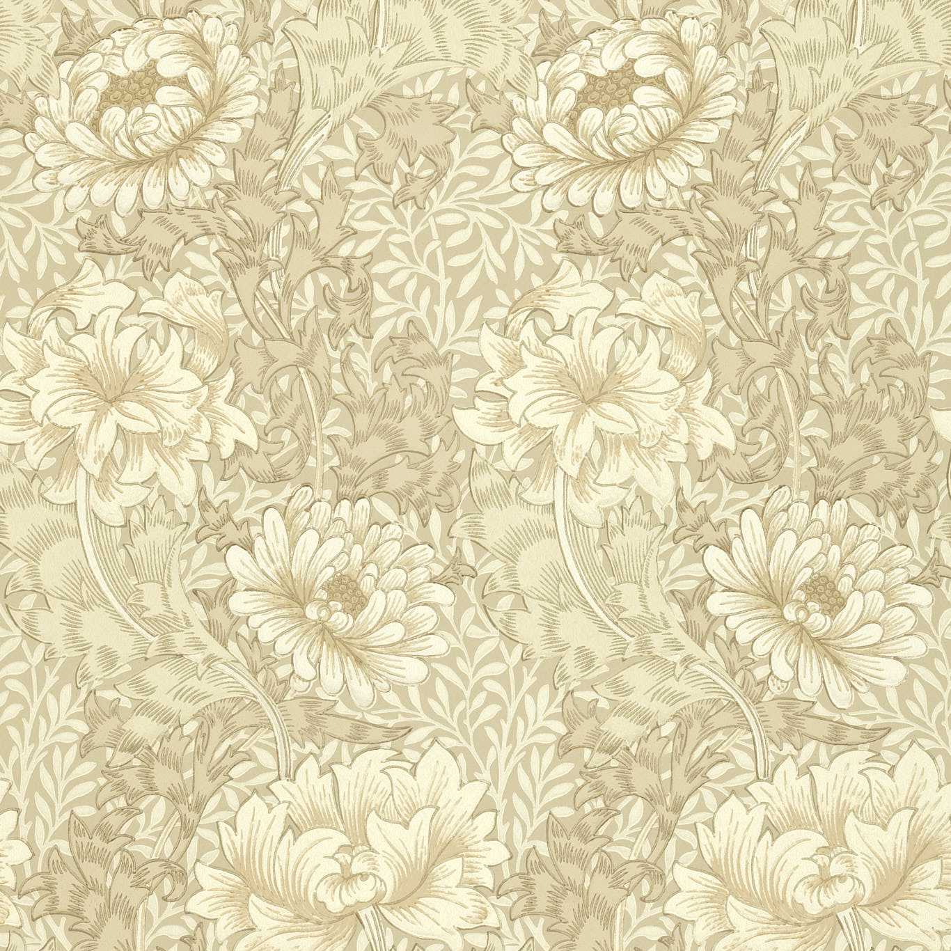 Chrysanthemum - Ivory/Canvas