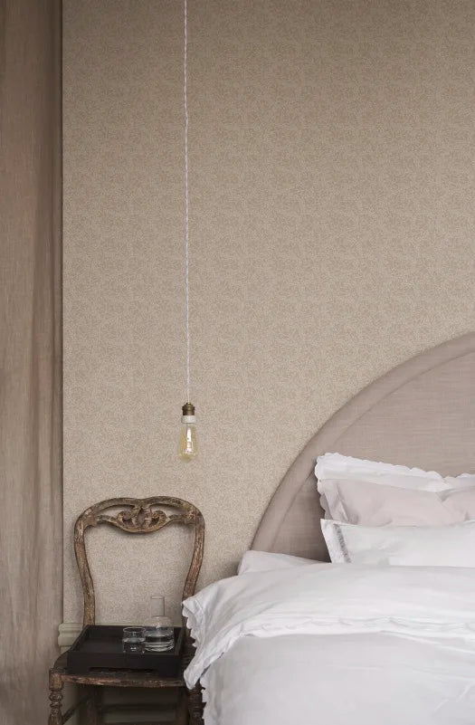 Coral - Beige