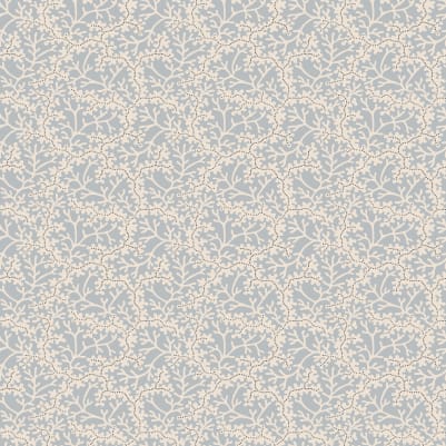 Coral - Light Blue