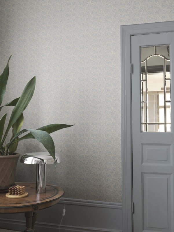 Coral - Light Blue