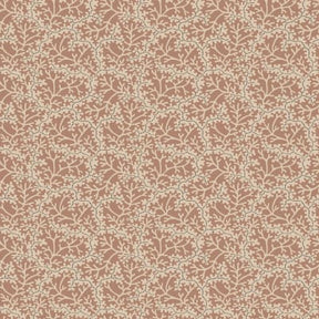 Coral - Terracotta