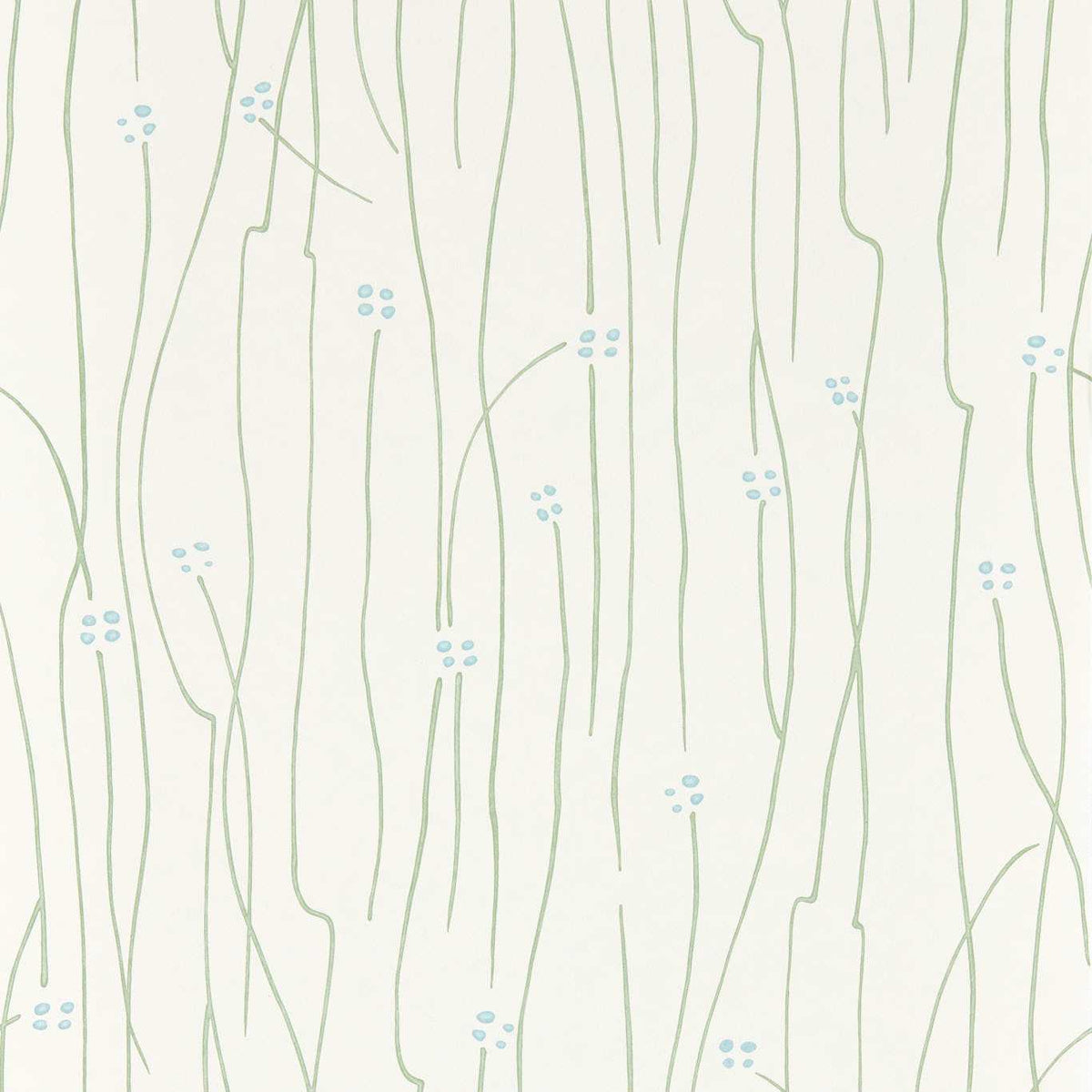 Eizou - Avocado/Sky/Chalk