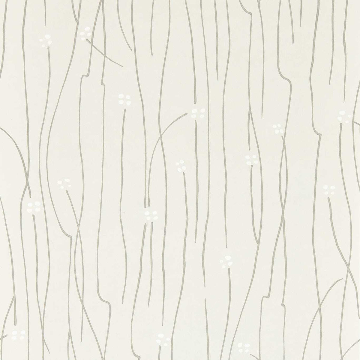 Eizou - Silver/Frost/Chalk
