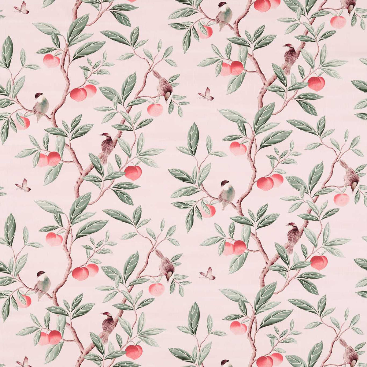Ella - Powder/Sage/Peach
