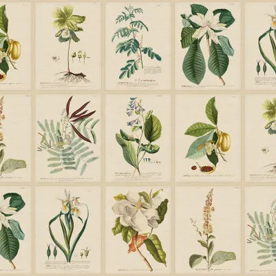 Flora - Green
