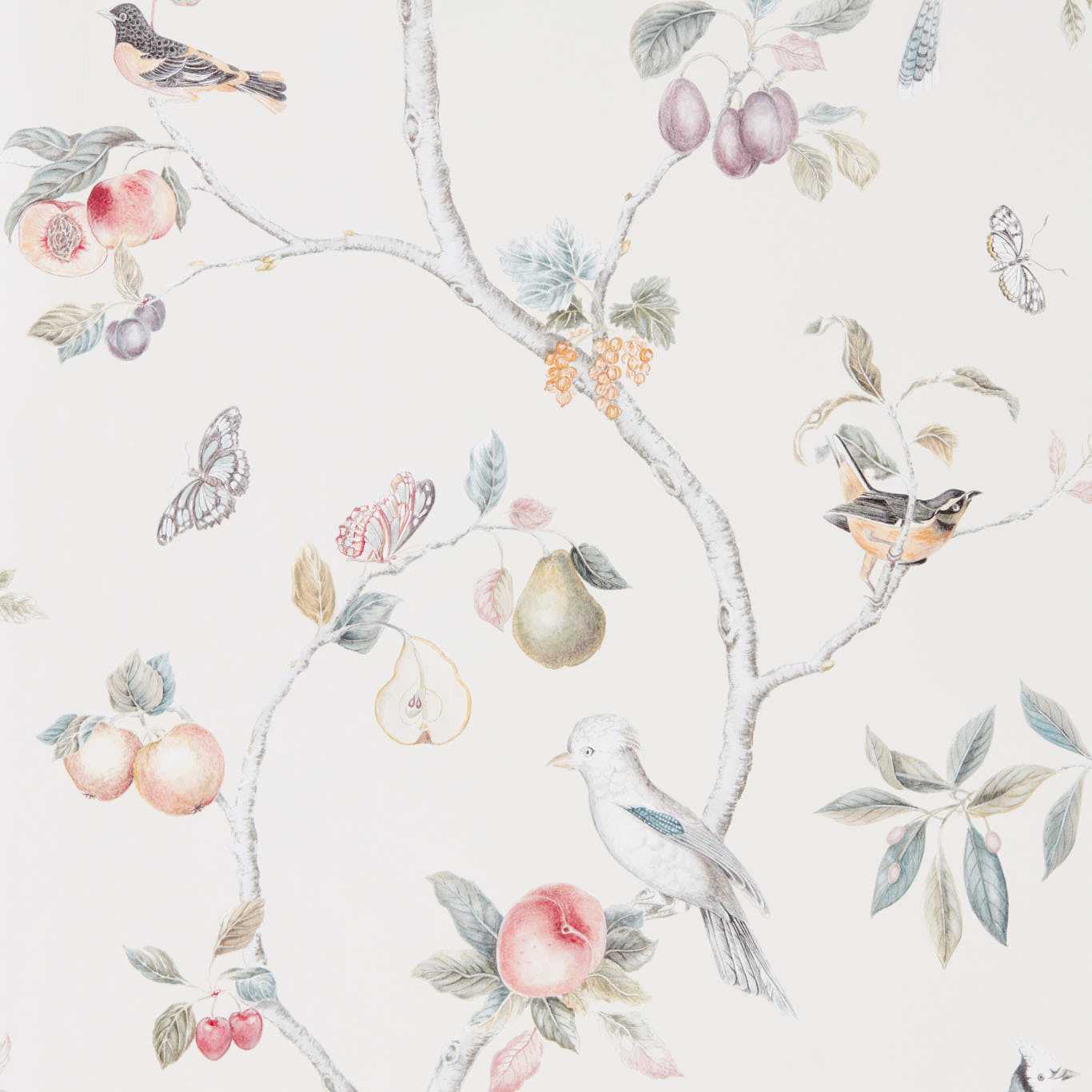 Fruit Aviary - Cream/Multi