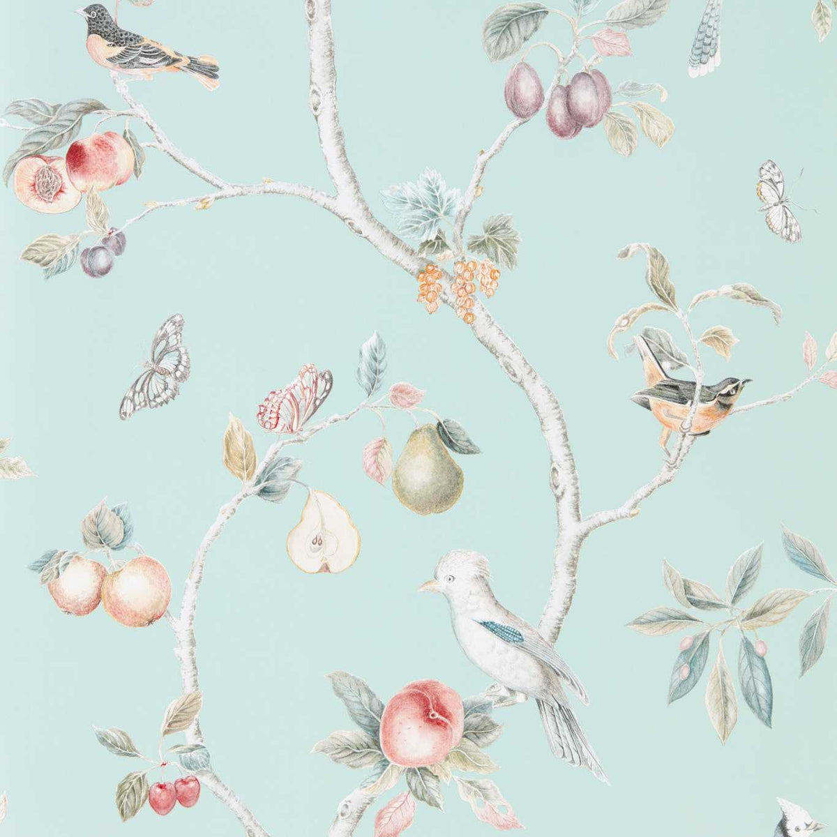 Fruit Aviary - Duck Egg/Multi