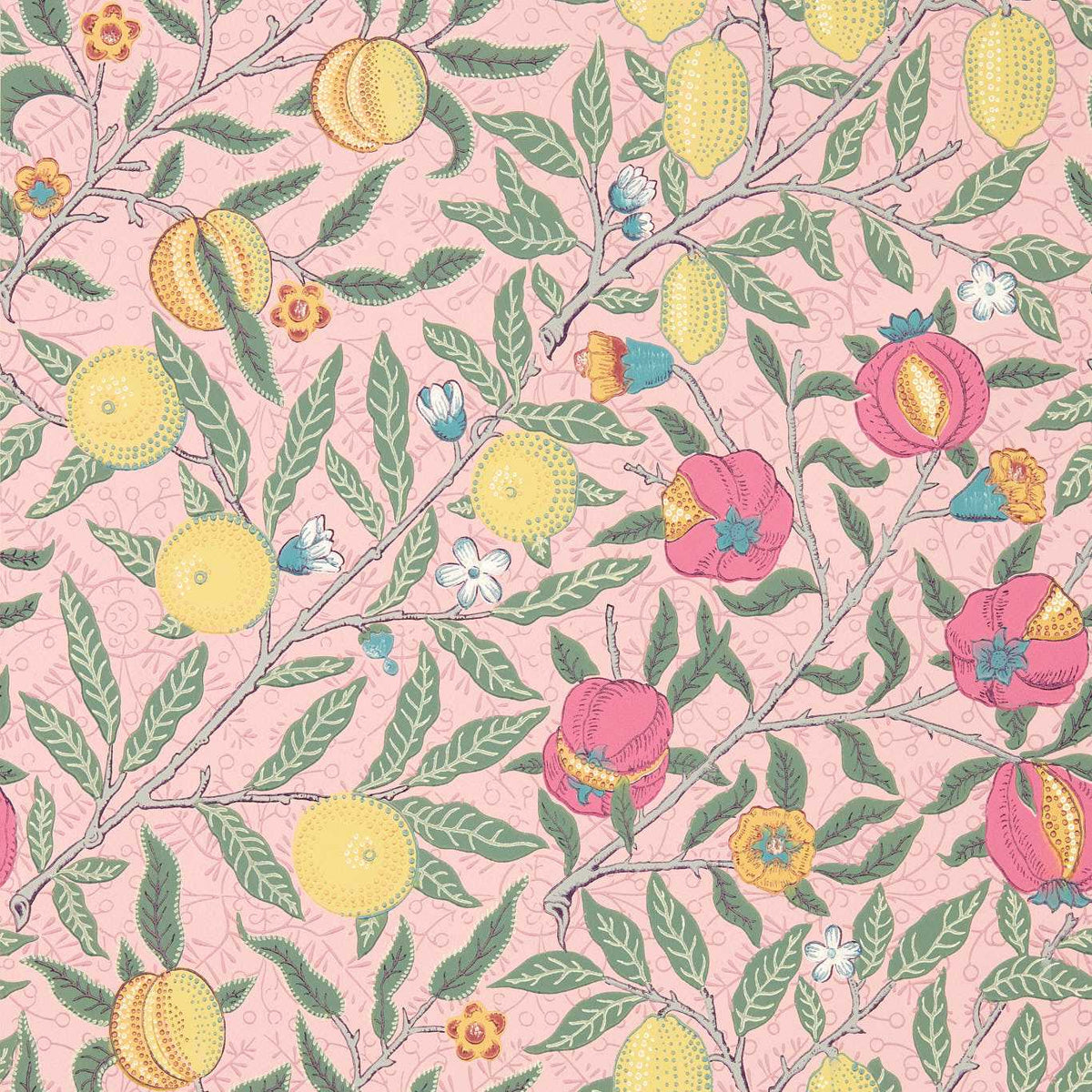 Fruit - Stardust