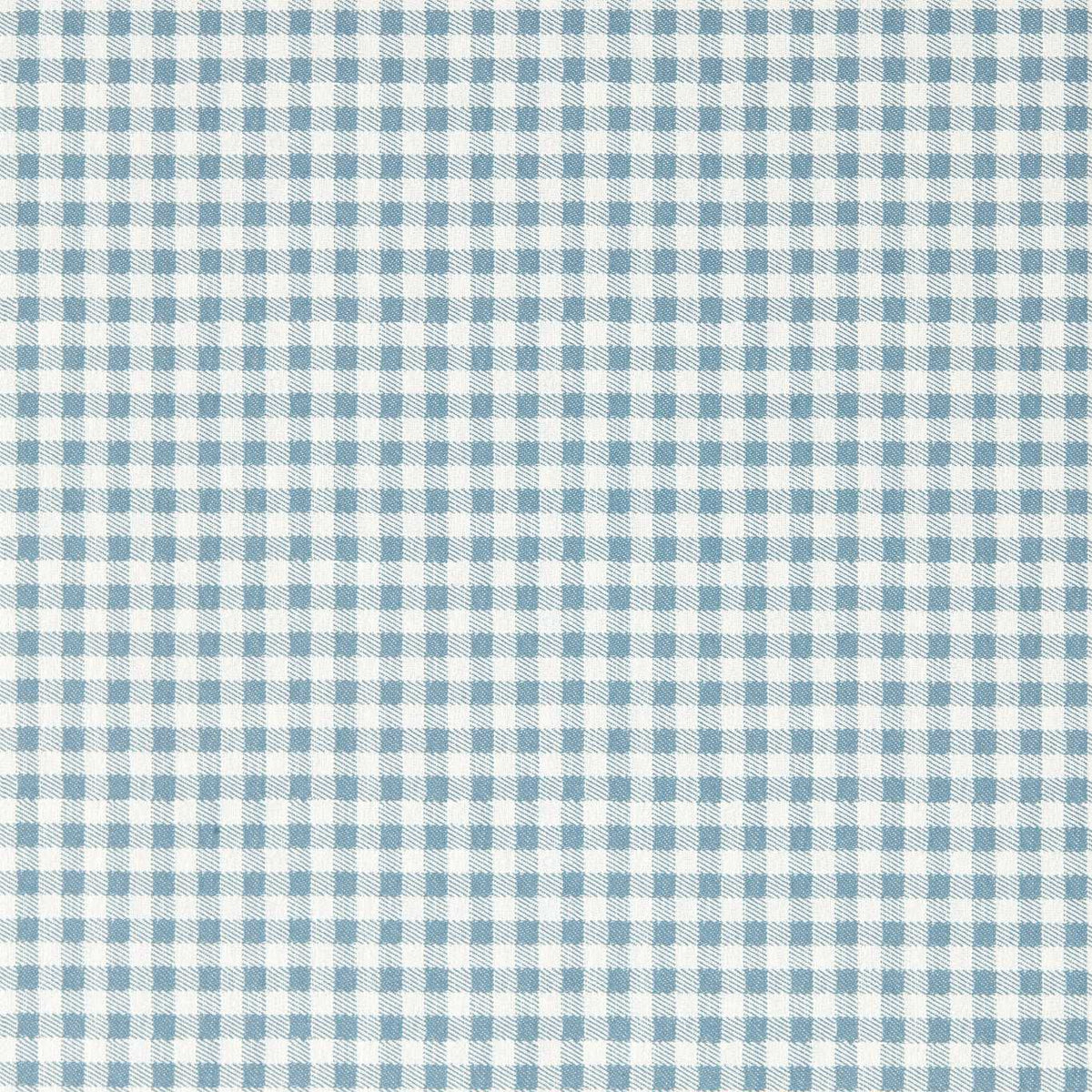 Gingham - Picnic Blue