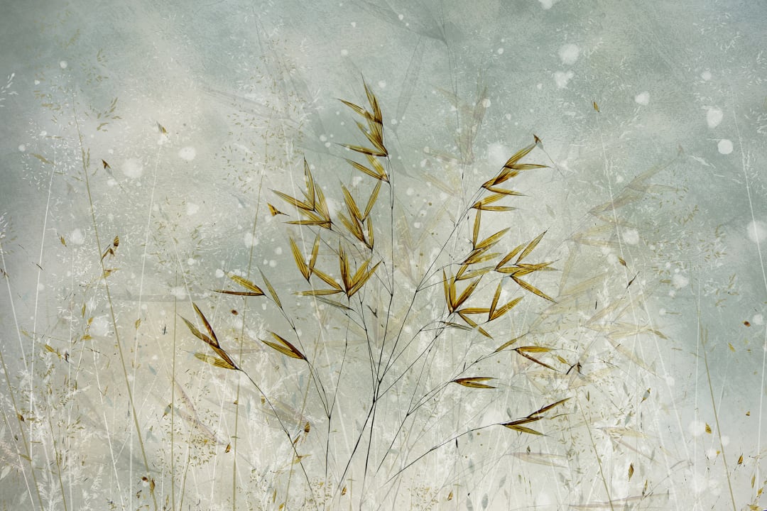 Golden Grain