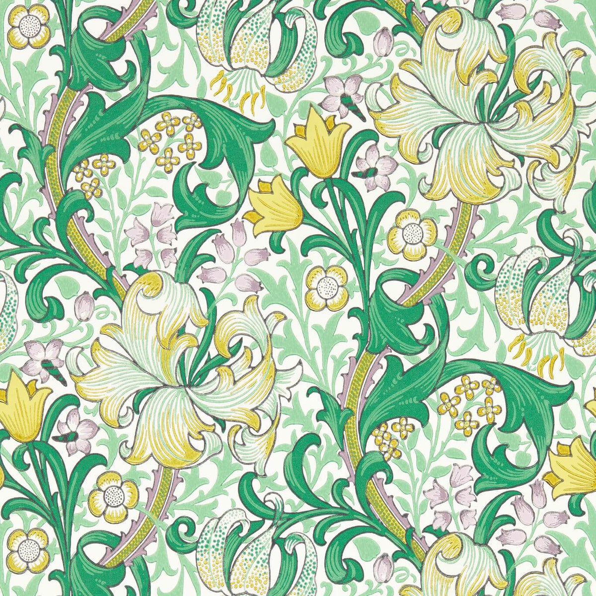 Golden Lily - Secret Garden