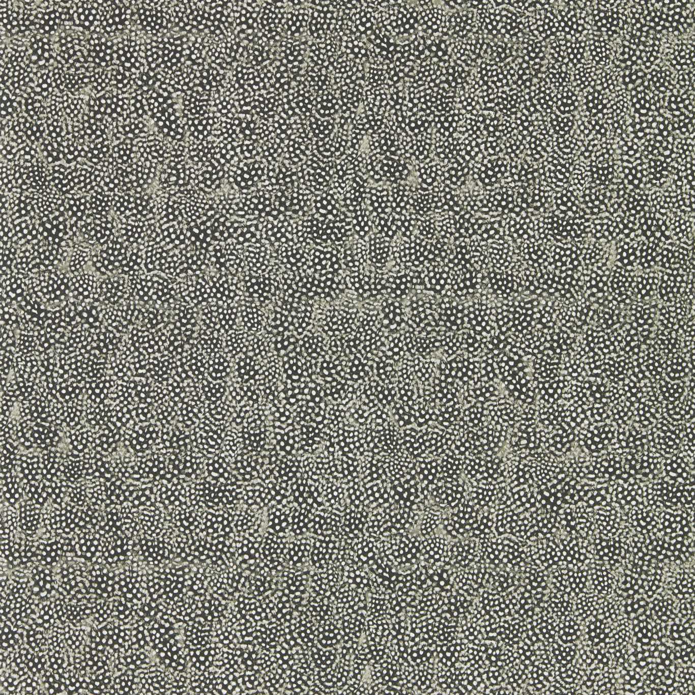 Guinea - Charcoal