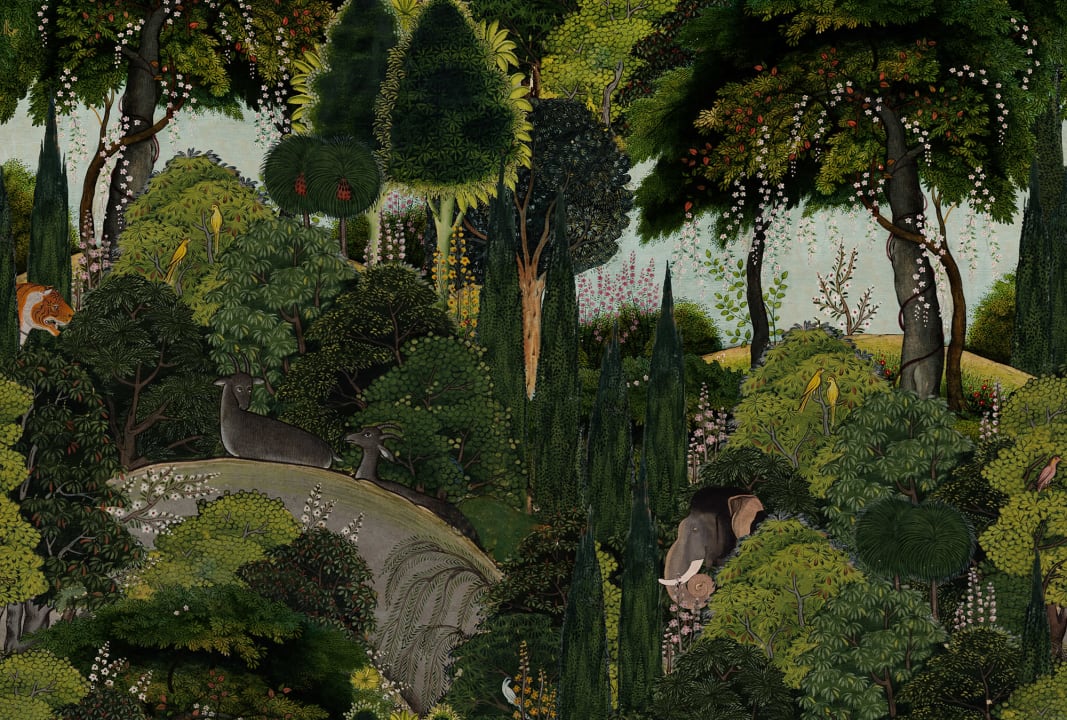Hiding Spot - Evening