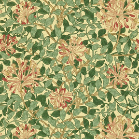 Honeysuckle - Green/Coral Pink