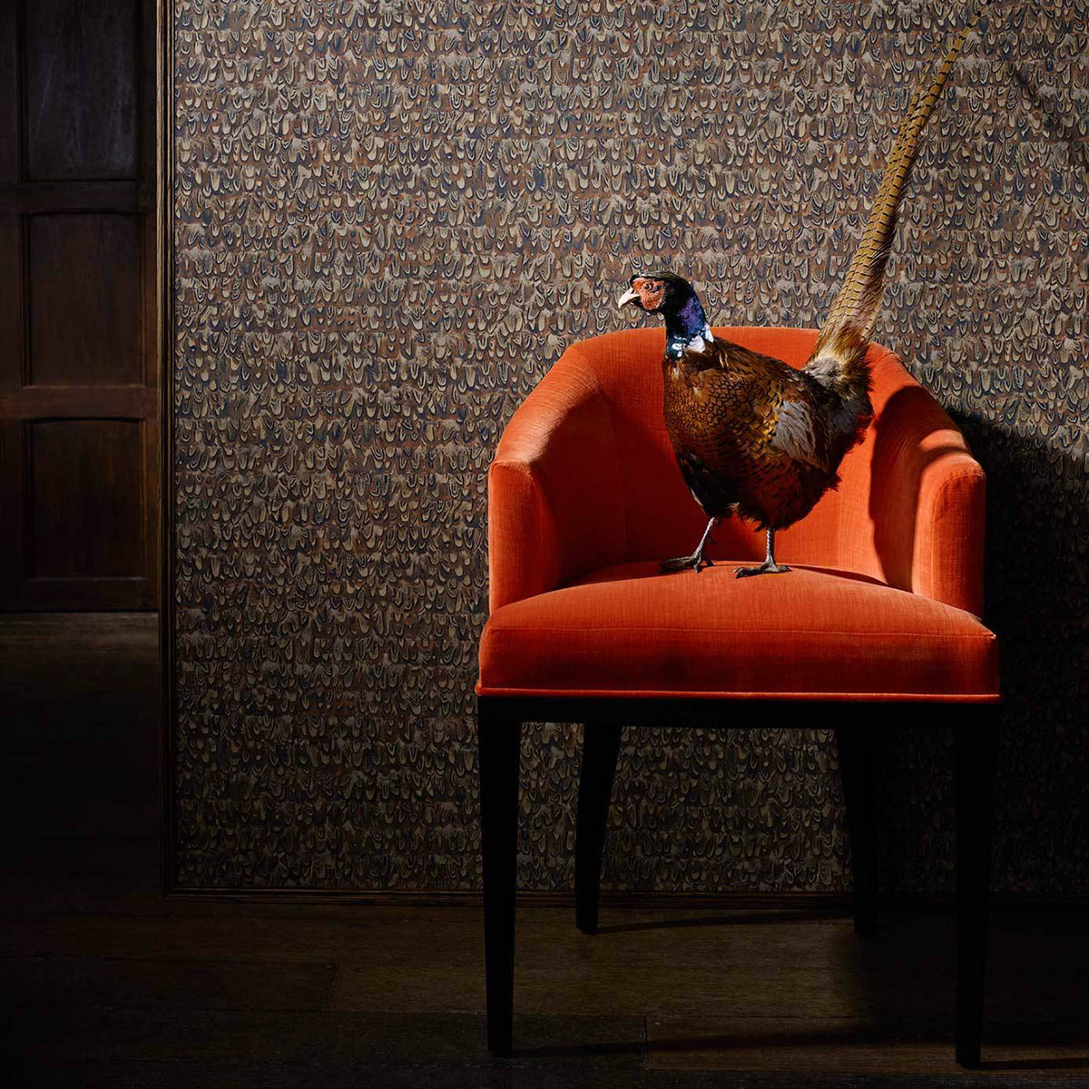 Icarus - Copper/Pheasant