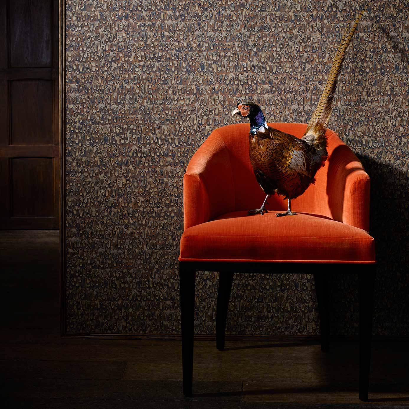 Icarus - Copper/Pheasant