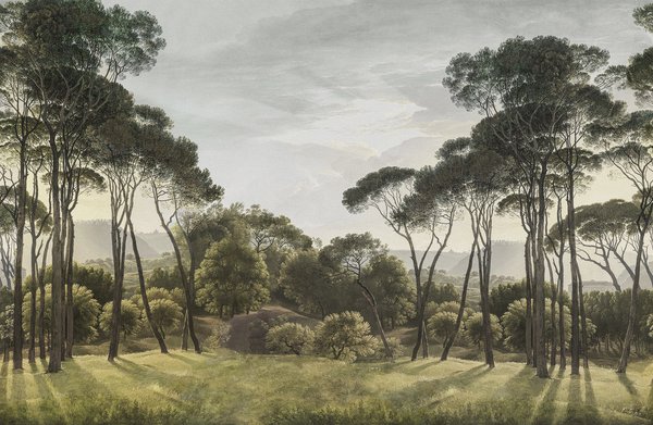 Pine Wood - Green