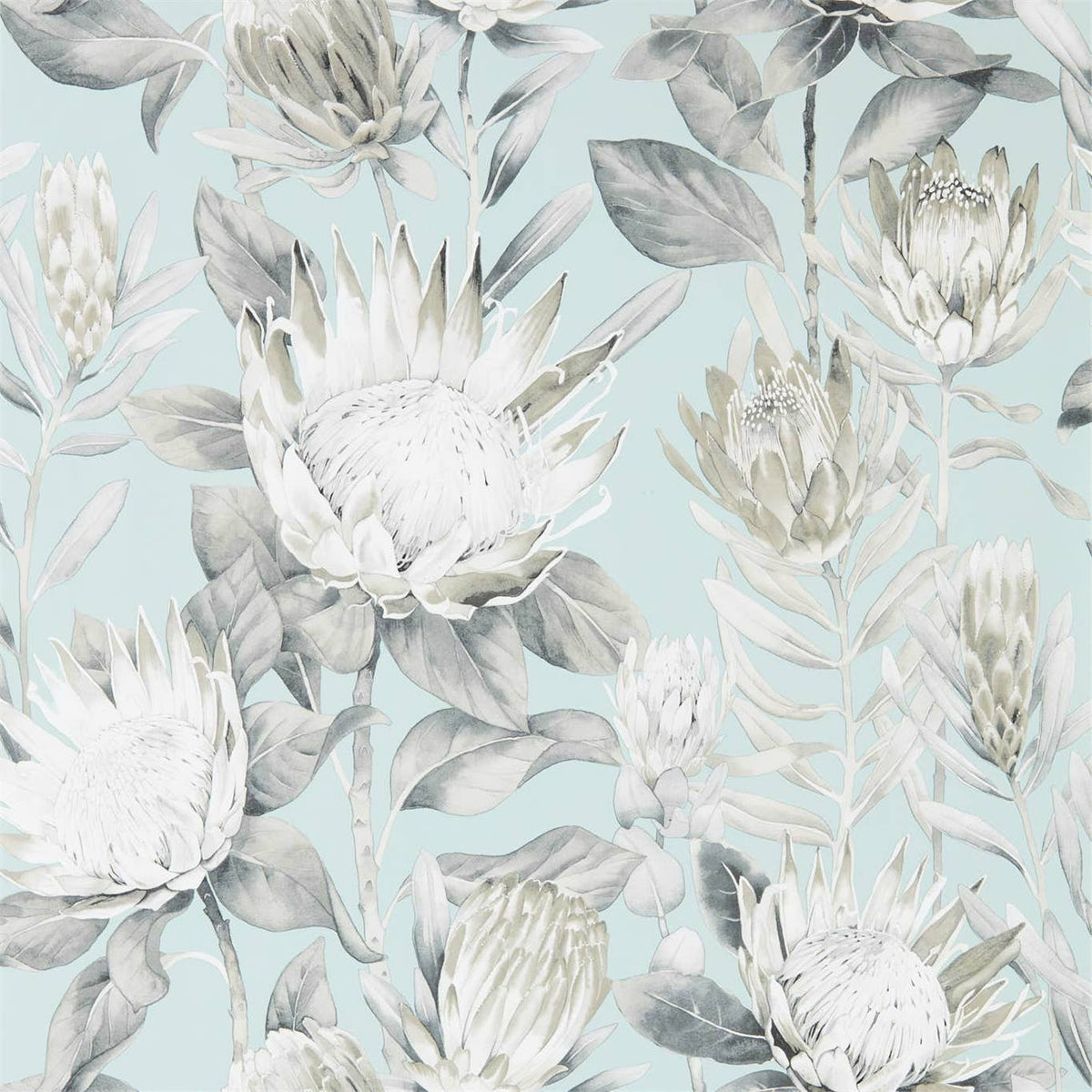 King Protea - Aqua/Linen