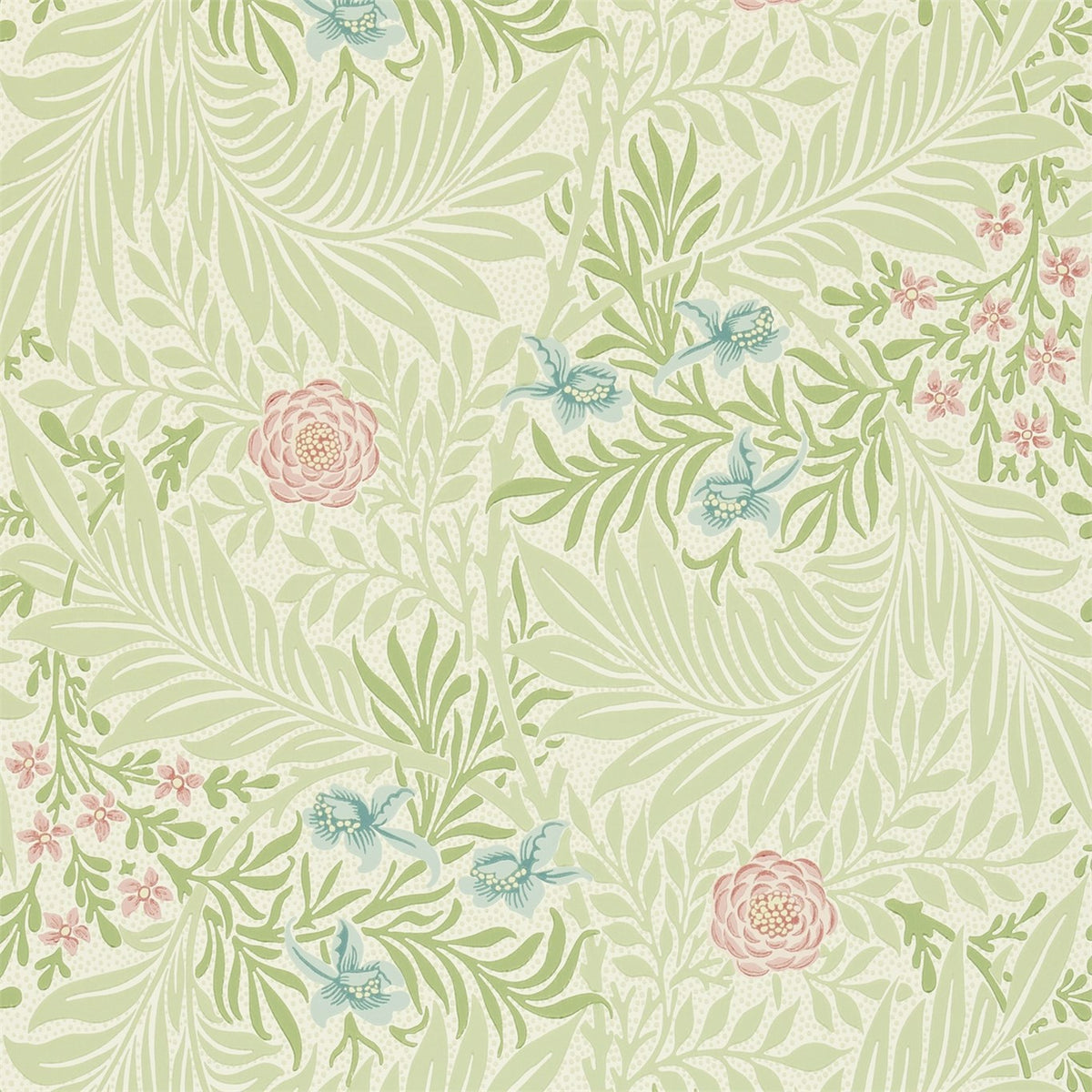 Larkspur - Green/Coral