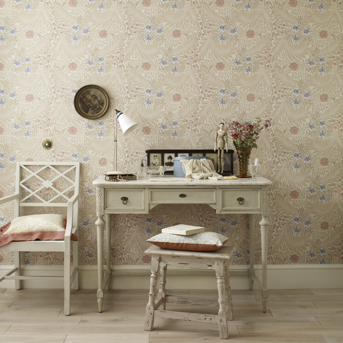 Larkspur - Manilla/Old Rose