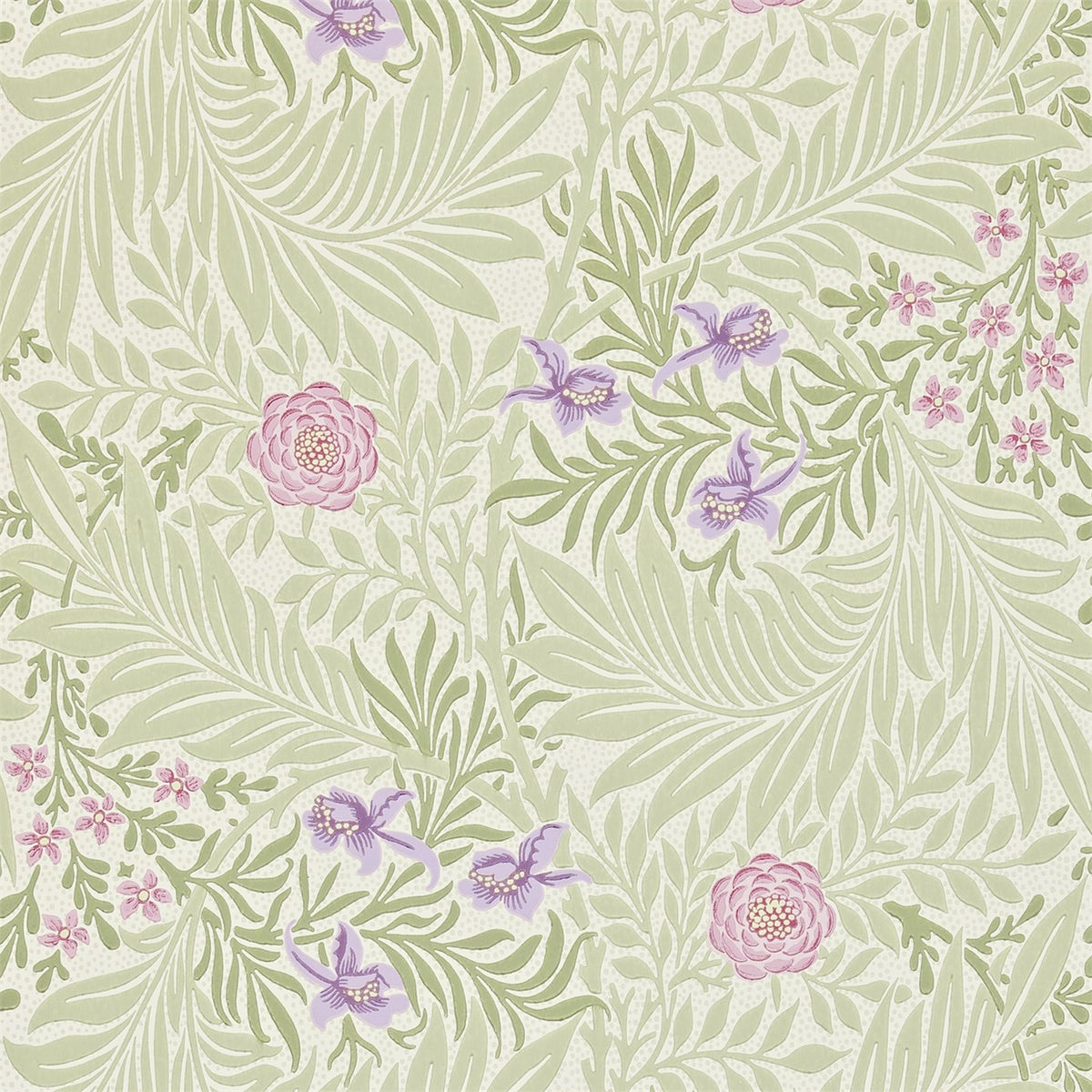Larkspur - Olive/Lilac