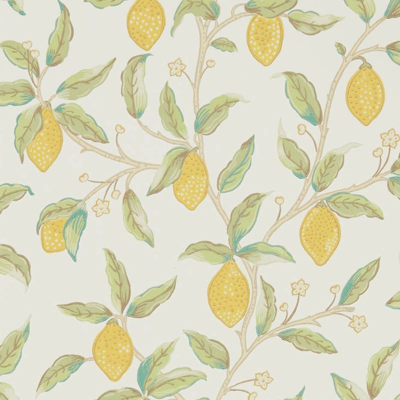 Lemon Tree - Bay Leaf