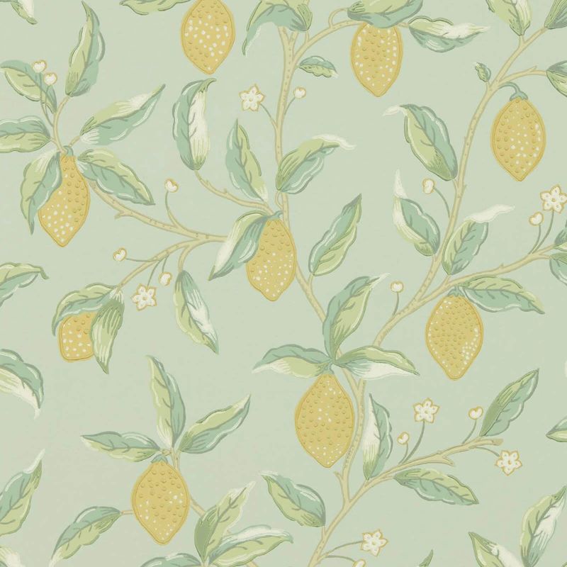 Lemon Tree - Sage