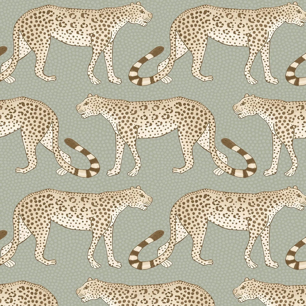 Leopard Walk - Blue