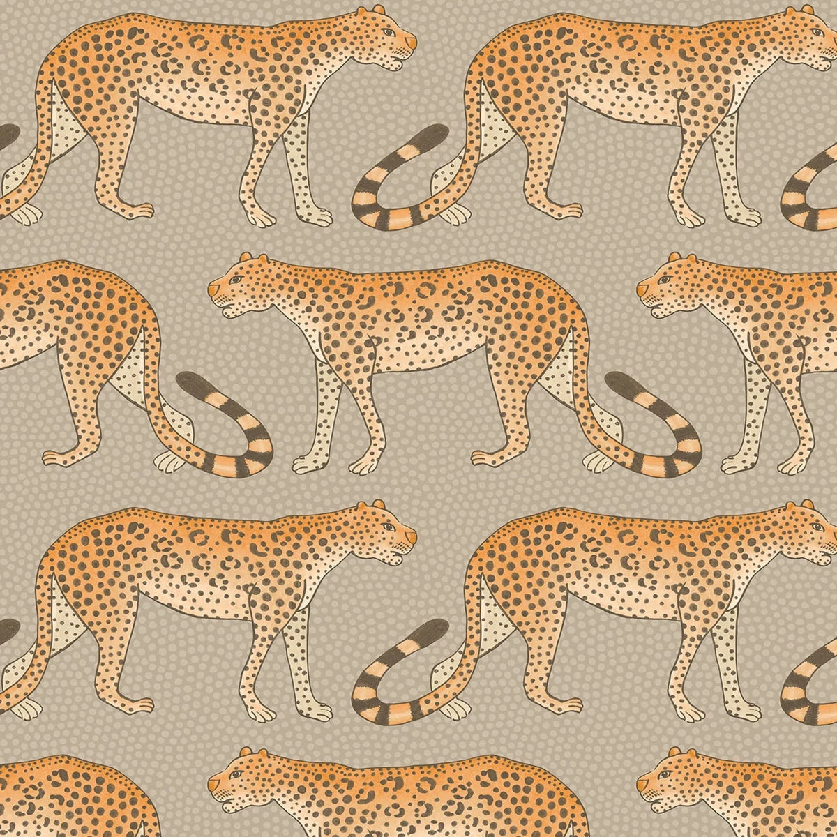 Leopard Walk - Orange
