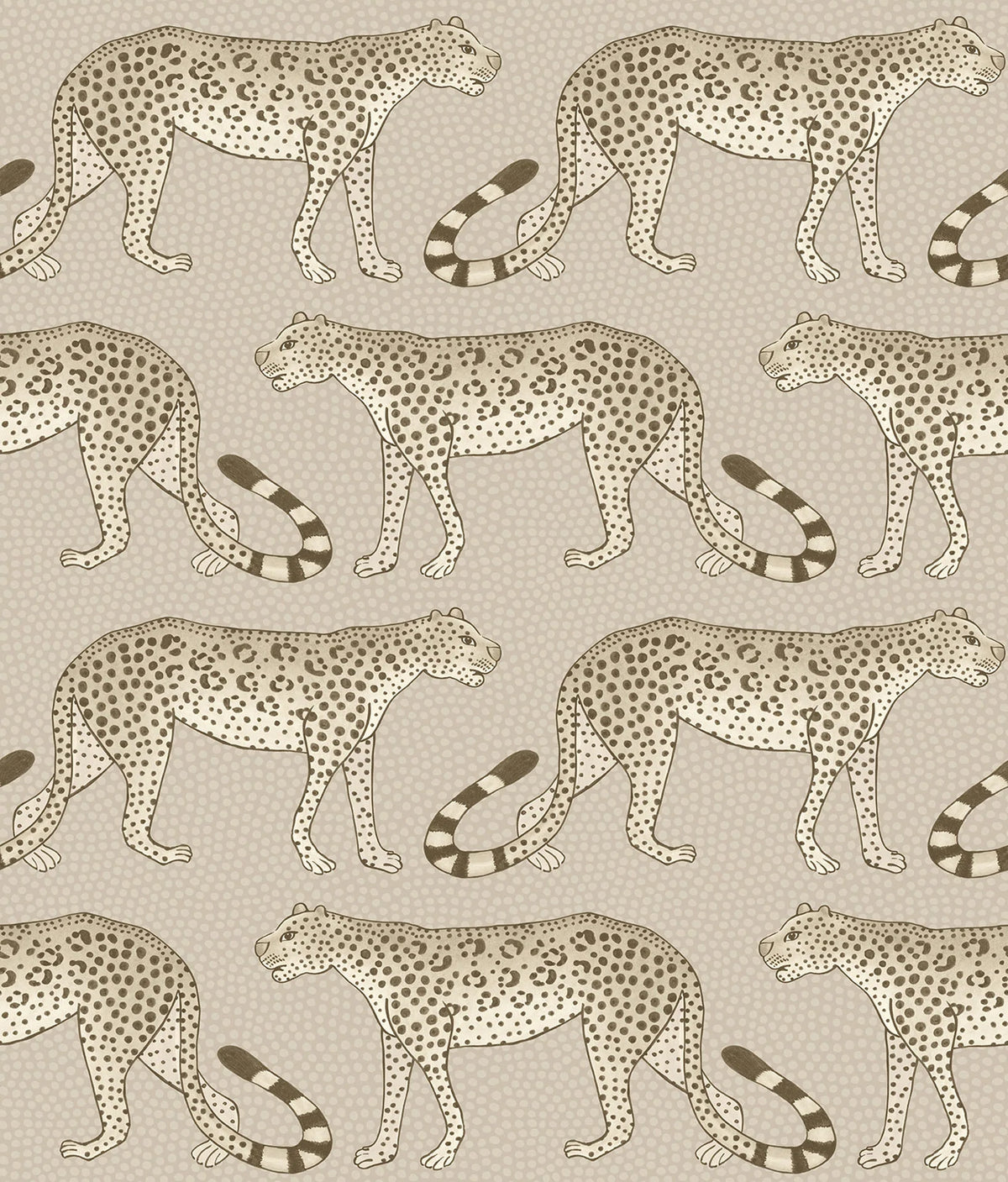 Leopard Walk - Taupe