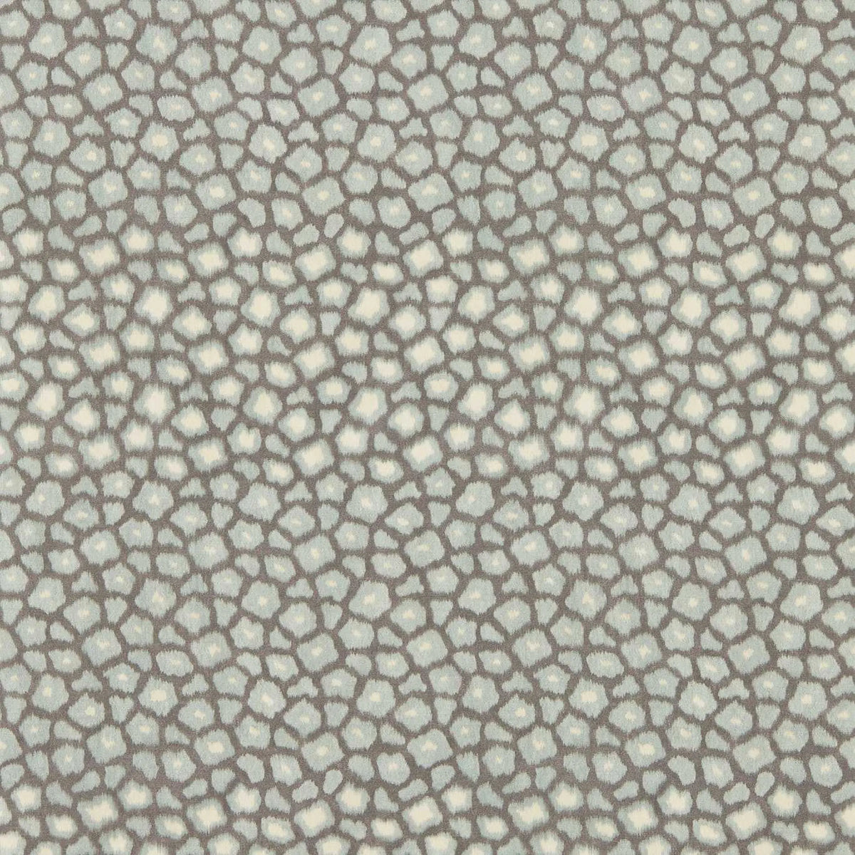 Loam -  Kyanite