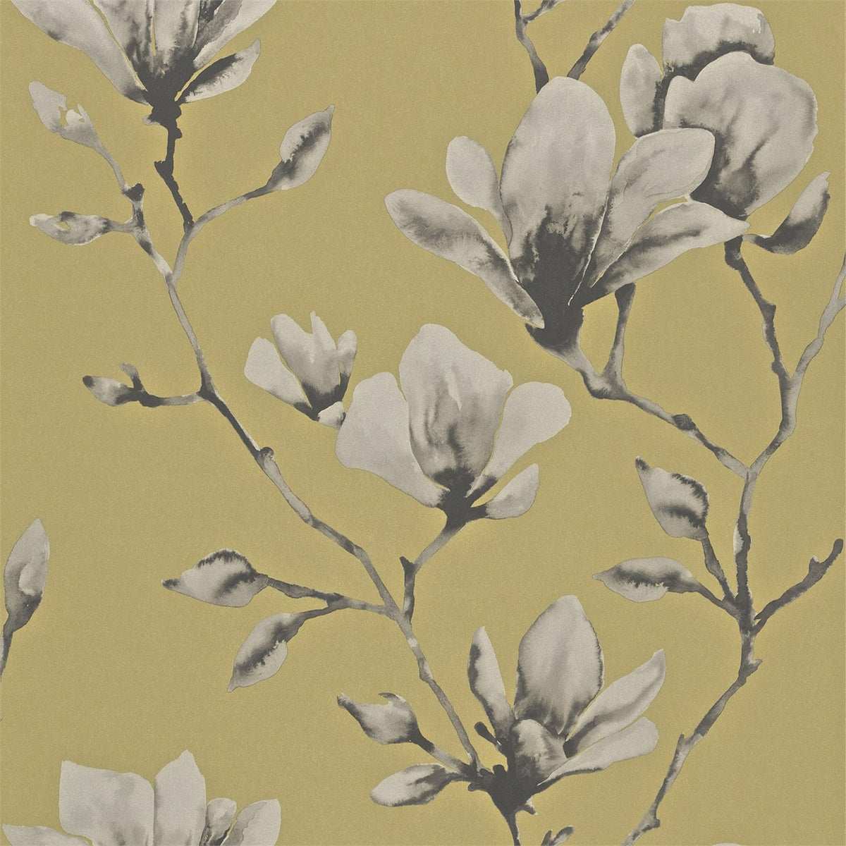 Lotus - Mustard