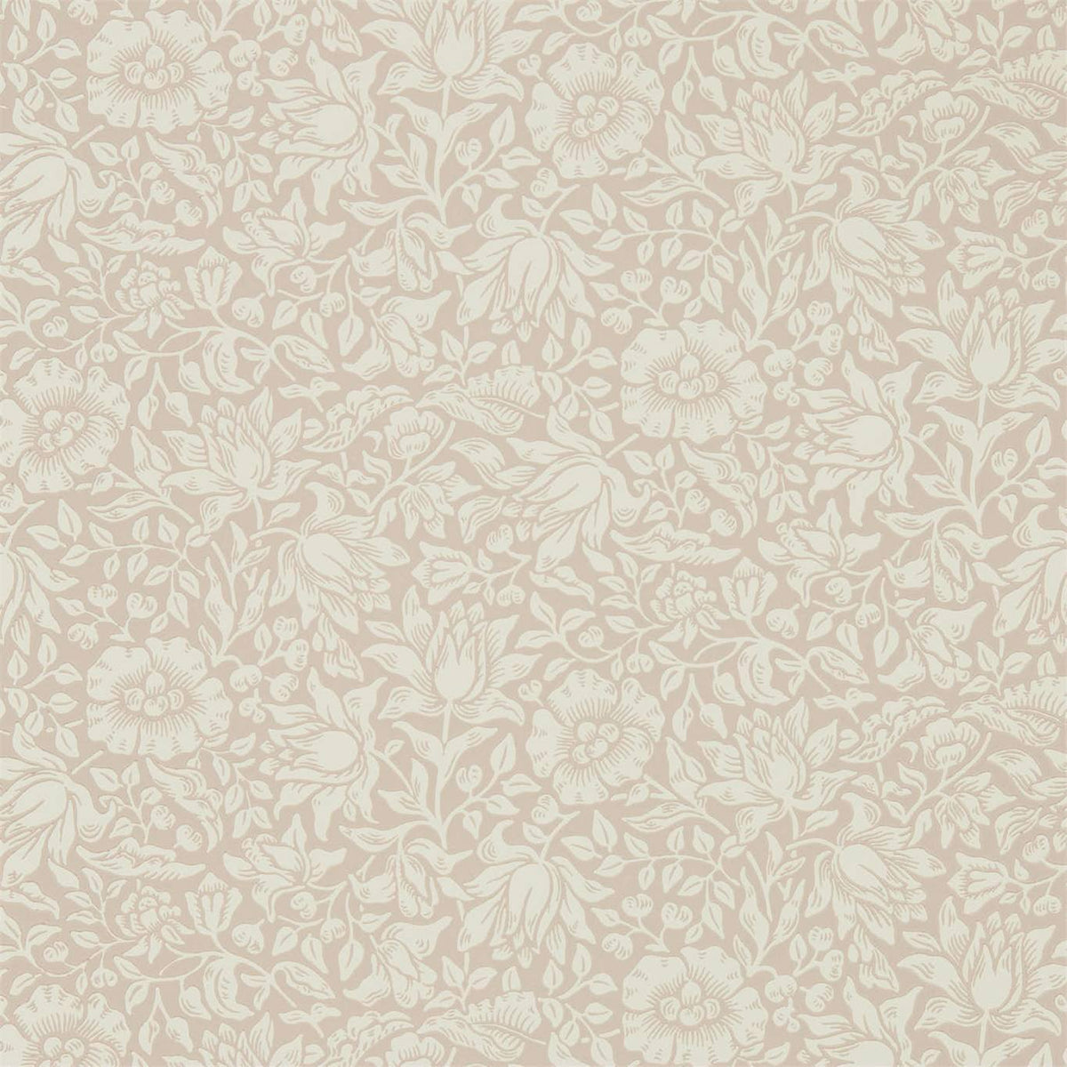 Mallow - Dusky Rose