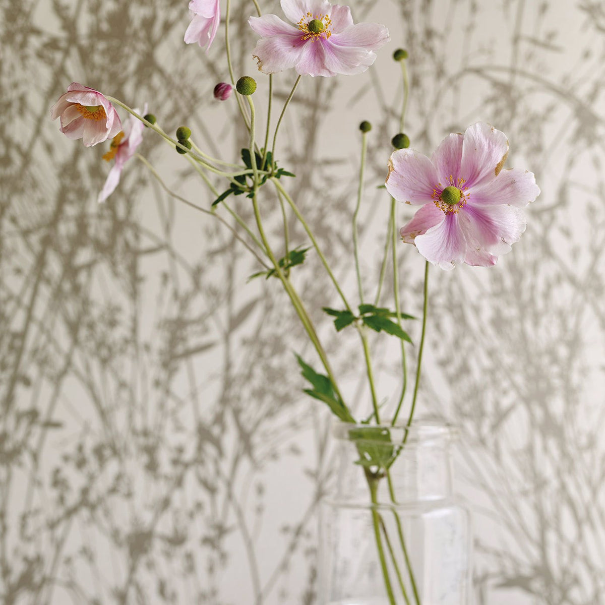 Meadow Canvas- White/Parchment