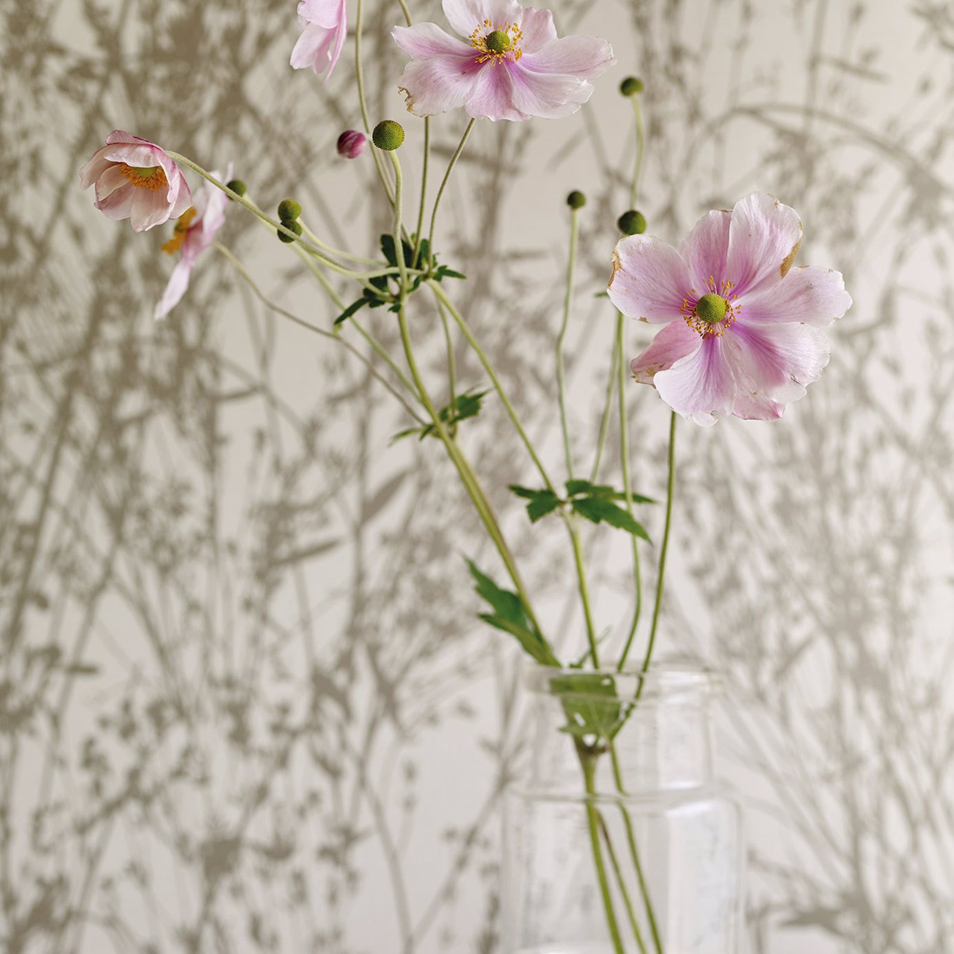 Meadow Canvas- White/Parchment