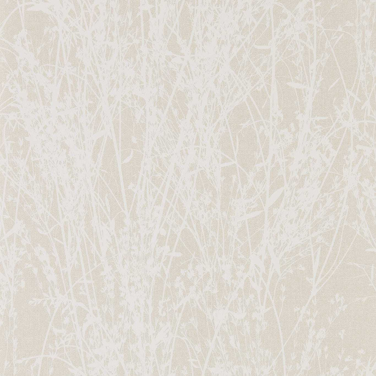 Meadow Canvas- White/Parchment