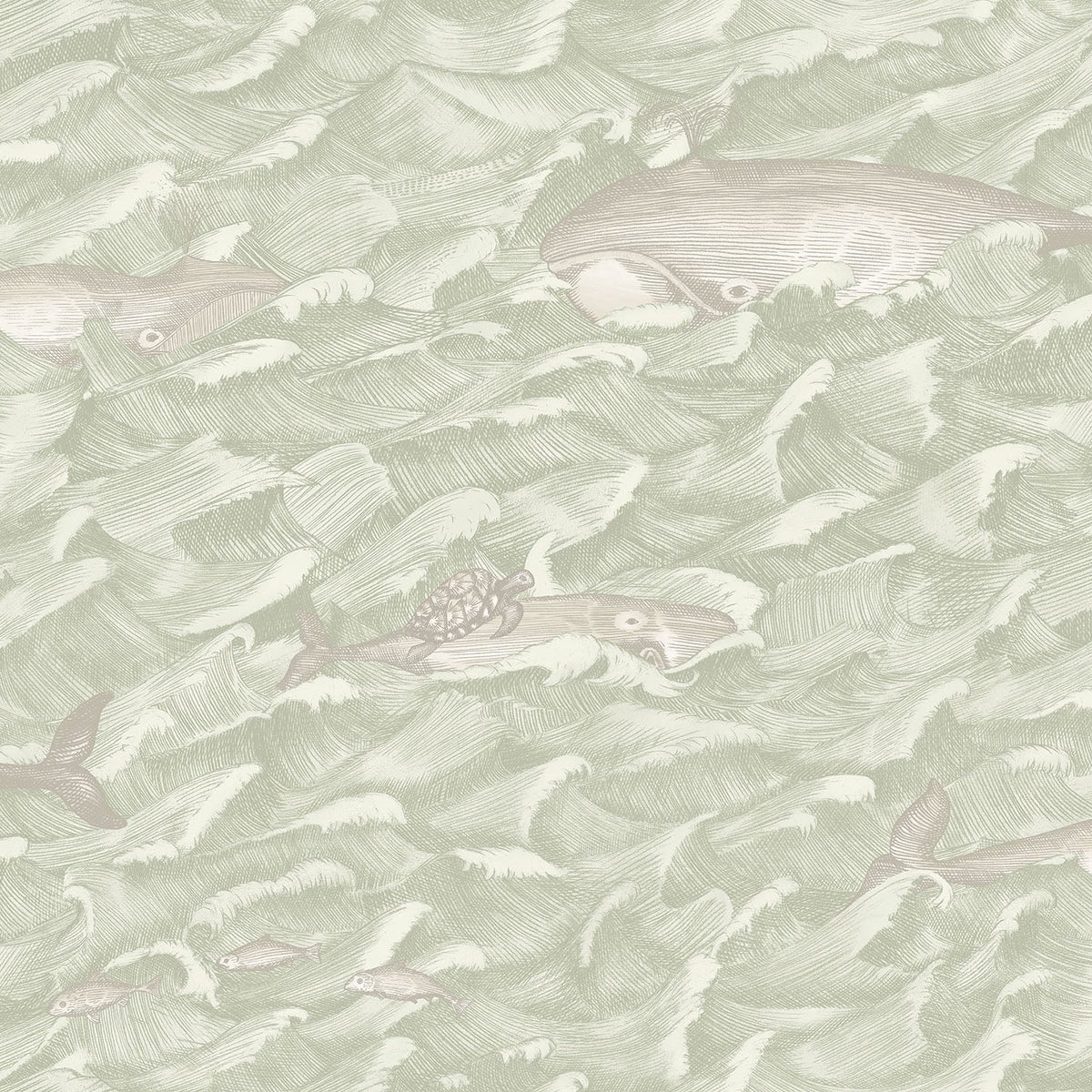 Melville - Green