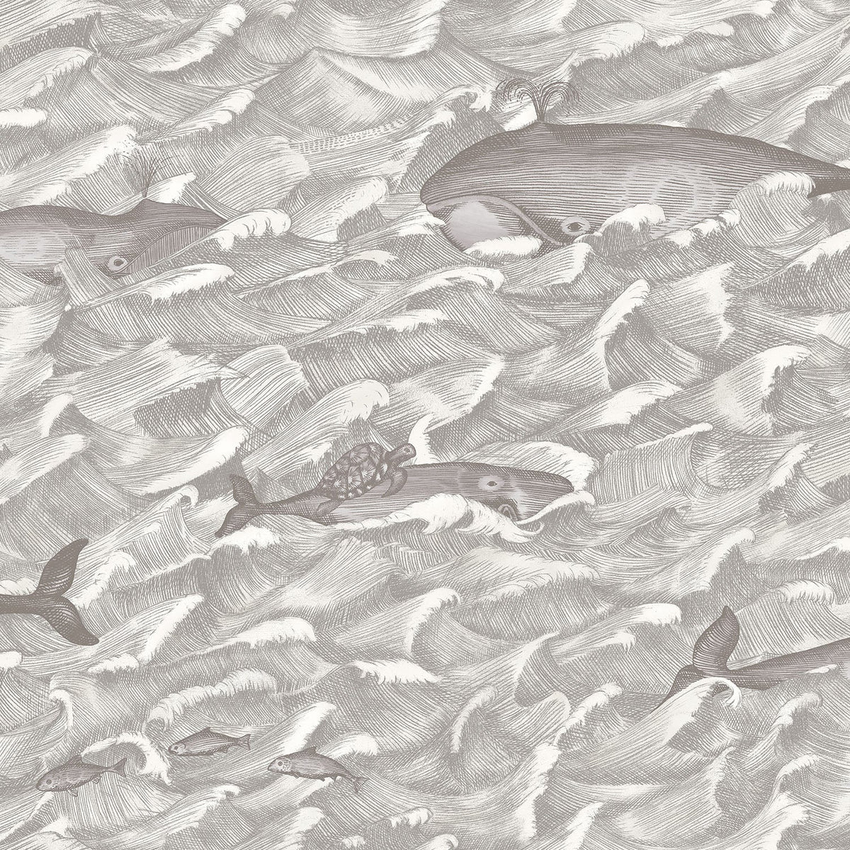 Melville - Grey