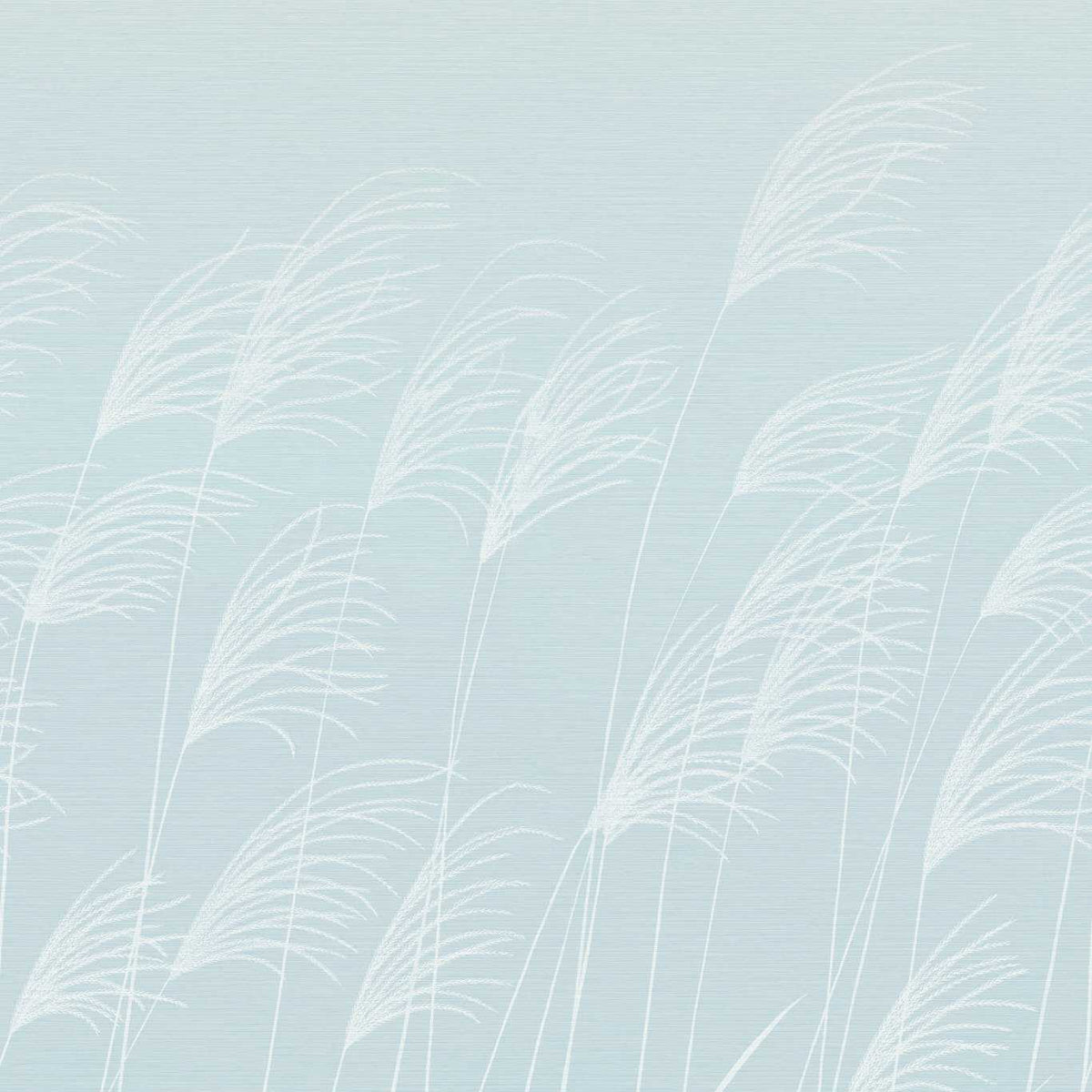 Miscanthus - Sky/Celestial