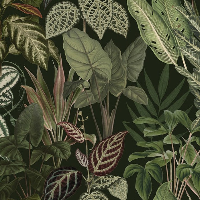 Mischievous Jungle - Lush