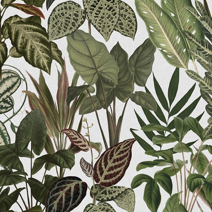 Mischievous Jungle - White