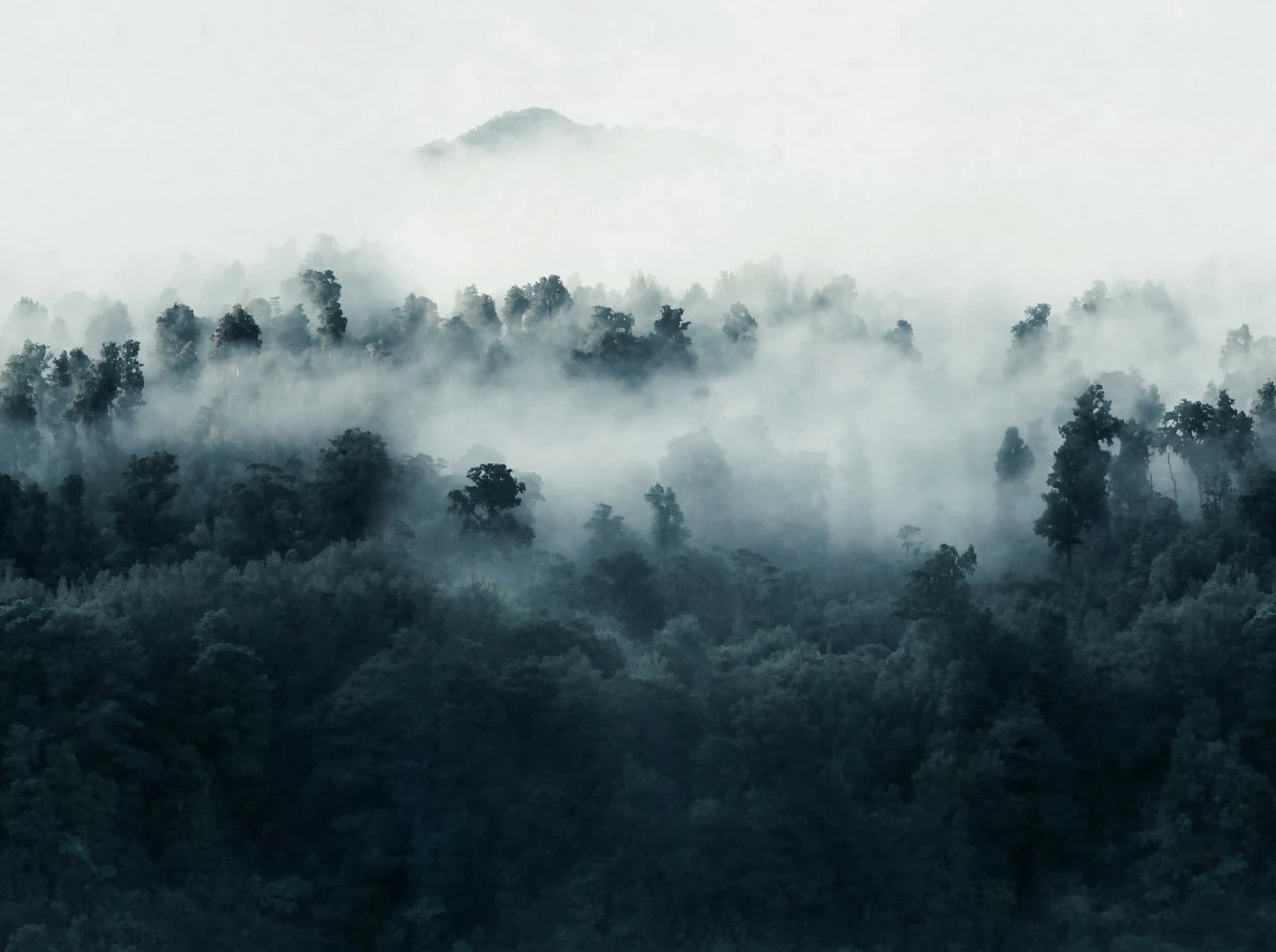 Misty Woodland - Blue