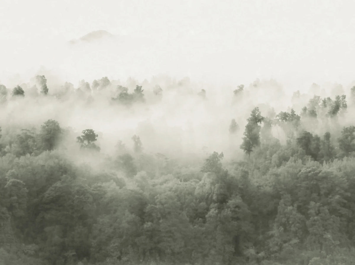 Misty Woodland - Light Green