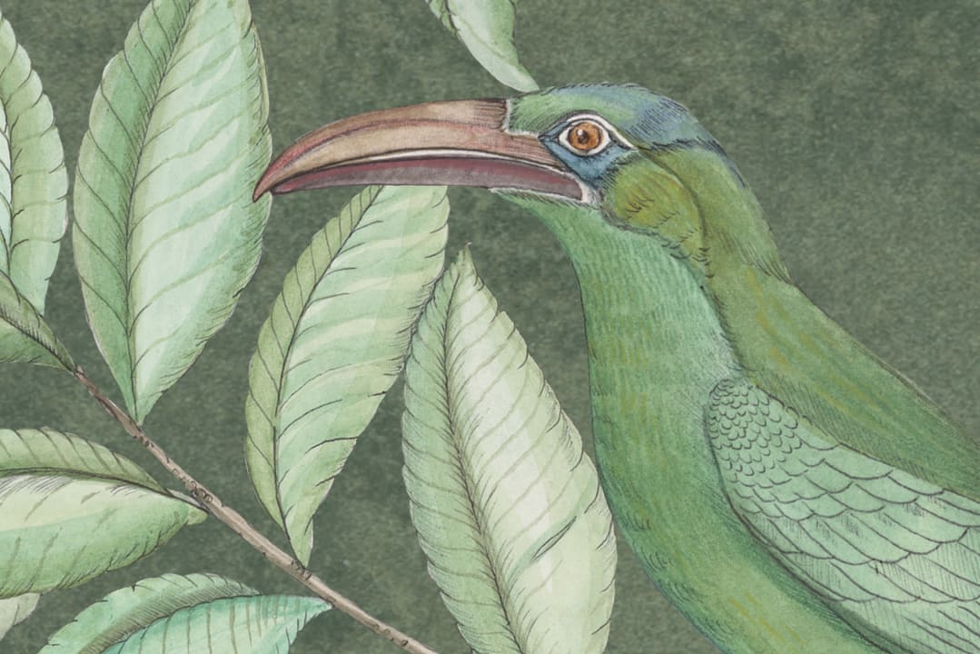 Monkeys Paradise - Sage Green